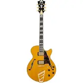 D'angelico Excel SS Amber semi-akoestische gitaar met gigbag