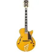 D'angelico Excel SS Soho Amber semi-akoestische gitaar met gigbag