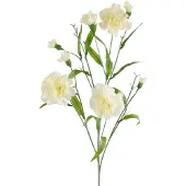 Easyplants | Kunstbloem Anjer tros 70 cm wit | Zijde | Nepbloemen | wit | Onderhoudsvrij | Kant-en-klaar