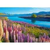 Castorland puzzel Lake Tekapo legpuzzel 500 stukjes New Zealand.