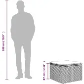 vidaXL Tuinkruk met kussen 55x55x37 cm poly rattan bruin