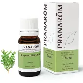 Pranarôm Essentiële Olie Thuya | 10 ml