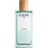 LOEWE Luchtanthese Edp Vapo 100 ml