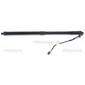 TRISCAN 8710 17304 Gasveer achterklep