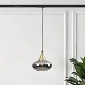 LumenXL 1-fase rail hanglamp Nill goud met smoke glas en spiegeleffect - breed glas