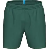 Arena Zwemshort Arena - heren EU L