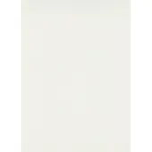 Erismann Vliesbehang CELESTE - trendy unistructuur (1 stuk)
