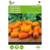 Buzzy Zaden snacktomaat dattorange f1 8 zaden