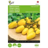 Buzzy Zaden snacktomaat dattolime f1 8 zaden