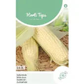 Horti Tops - Zaden witte mais glacial 20 zaden