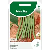 Intratuin Groentezaad Stamslaboon (Phaseolus Vulgaris 'Sonate')