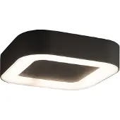 Lyora Led plafondlamp Puebla