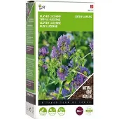 Buzzy Seeds Groenbemester Klaver Lucerne (Medicago Sativa) 200 G