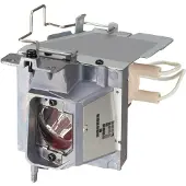 CoreParts - Projectorlamp (gelijk aan: NEC 100014091, NEC NP36LP) - 195 watt - 4500 uur/uren - voor NEC V302W, V302X
