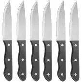 Hendi Steakmes van roestvrij staal, breed lemmet, 250 mm lang, set van 6 - 781456
