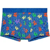 Hom Boxershorts ' Funky Styles ' blauw / gemengde kleuren