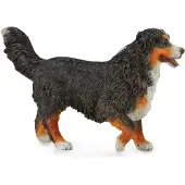 Collecta Figurine - Berner Sennenhond - (L) - Honden - Handgeschilderd - Miniatuur