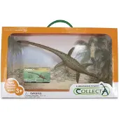 Collecta prehistorie: Thalassomedon speelset 35 cm bruin/groen