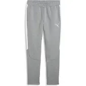 Puma Sportbroek 'teamEvostripe' grijs / wit