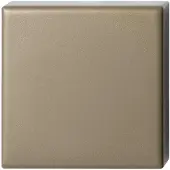 GPF bouwbeslag Blinde vierkante rozet 50x50x8 mm Champagne blend