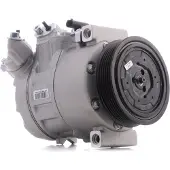 RIDEX 447K0244 Aircopomp