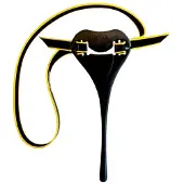 Finis Posture Trainer Zwart