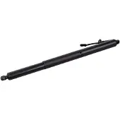 FEBI BILSTEIN 179301 Gasveer achterklep
