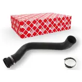 FEBI BILSTEIN Radiatorslang 49746