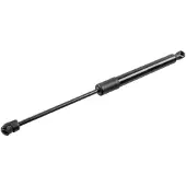 FEBI BILSTEIN 198251 Gasveer achterklep