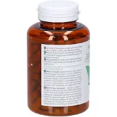 Arkopharma Arkocaps Orthosiphon | 150 capsules