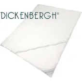 Vandyck All Year Light Dekbed Excellent 450 95% Ganzendons-140 x 220 cm