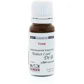 Dnh Vasa