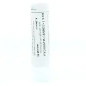 Homeoden Heel Hydrastis canadensis D6 6 gram granules