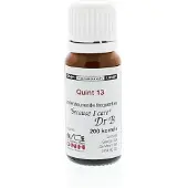 Dnh Quint 13 BMYD 200 stuks