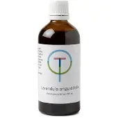 Therapeutenwinkel Lavendula angustfolia 100 ml