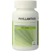 Ayurveda Health Phyllanthus niruri