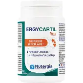 Nutergia Ergycartil Flex | 90 capsules