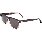 Carrera Zonnebril 268/S 53/19/150 Bruin geschaduwd beige Acetaat MAN 268/S