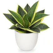 Unyqoos Kunstmatige Sansevieria Plant voor Stijlvolle Thuis- en Kantoorinrichting