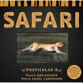 Workman Safari - Dan Kainen