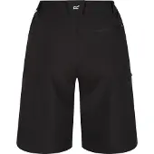 Regatta Damesshort Xert