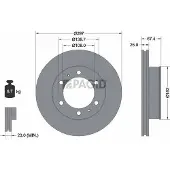 PAGID 55226N Remschijf