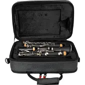 Gator RECTANGULAR CASE FOR BB CLARINET