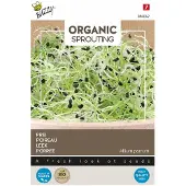 Buzzy - Seeds sprouting prei 20g