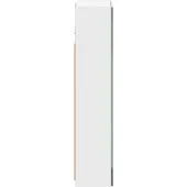vidaXL Badkamerspiegelkast Wit 30 x 10,5 x 50 cm Bewerkt hout