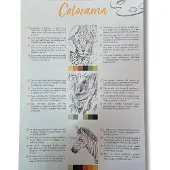 Clairefontaine Bloc de coloriage multi-techniques A4 20 feuilles Odelia Les animaux