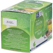 Biolys Groene Thee & Munt 24 St Filterzakje