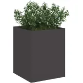 vidaXL Plantenbak Zwart 32 x 32 x 40 cm Koudgewalst staal