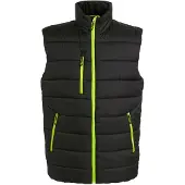 Regatta Thermische bodywarmer Navigate voor heren (Zwart/Lijkgroen)