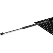 RIDEX 219G1910 Gasveer achterklep